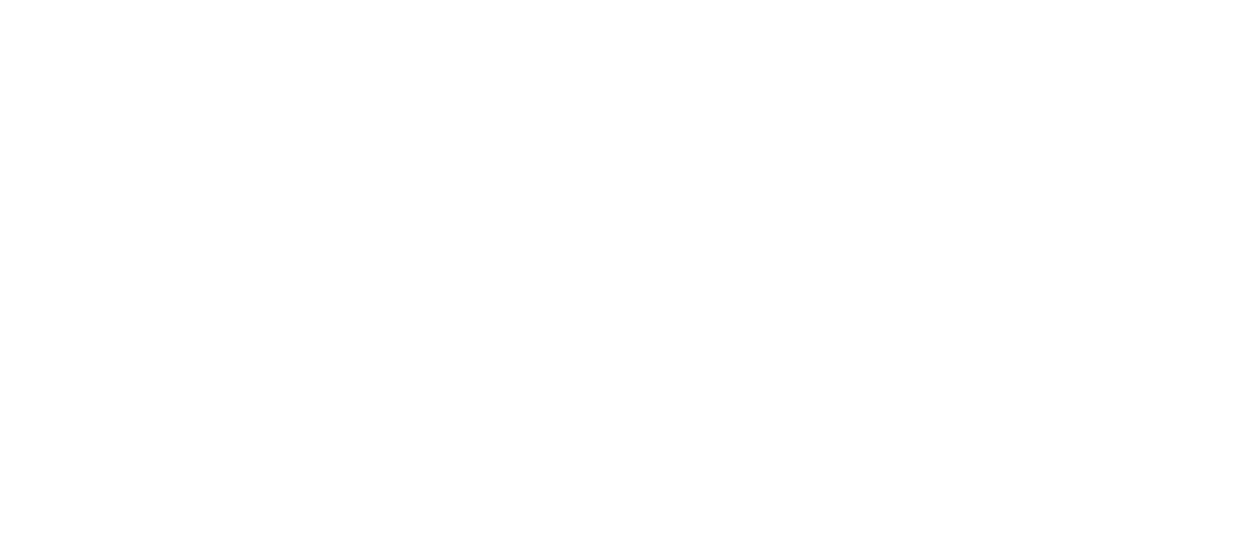 binplus_footer_logo